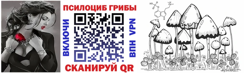 Галлюциногенные грибы Magic Shrooms  хочу   Чулым 